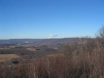 Picture 020