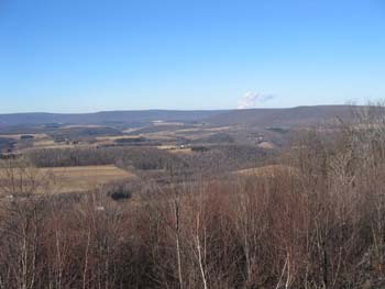 Picture 022