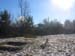 Picture 003