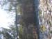 Picture 004
