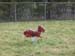 Picture 037
