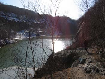 Picture 029