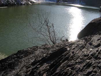 Picture 031